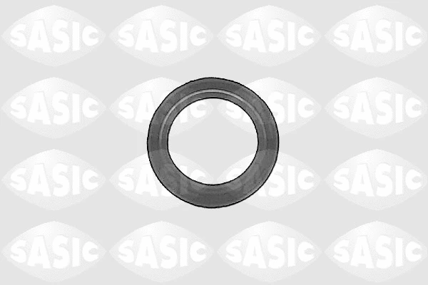Shaft Seal, differential (1213093)