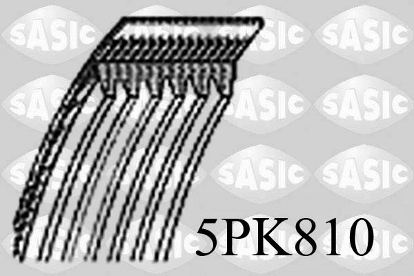 V-Ribbed Belt (5PK810)
