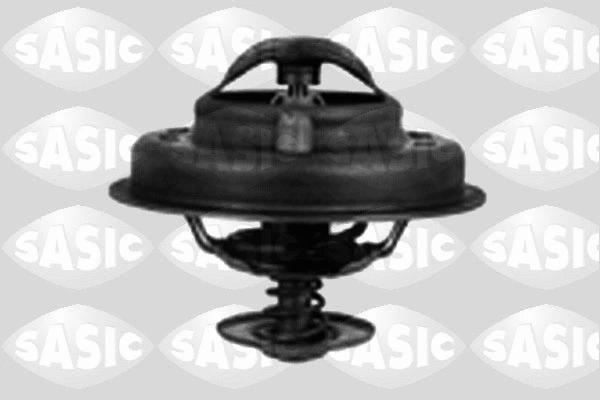 Thermostat, coolant (3381181)