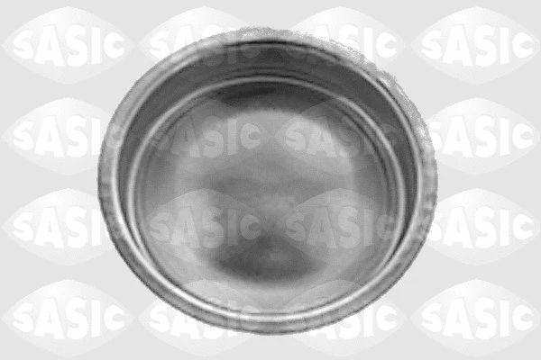 Cover, wheel hub (7403193)