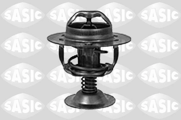 Thermostat, coolant (9000083)