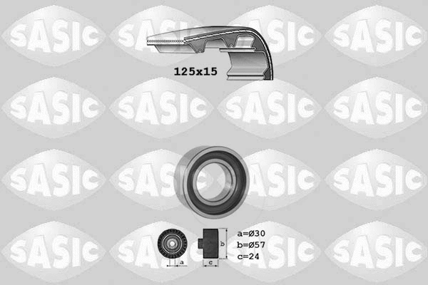 Timing Belt Kit (1756018)