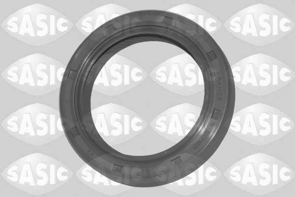 Shaft Seal, camshaft (1954015)