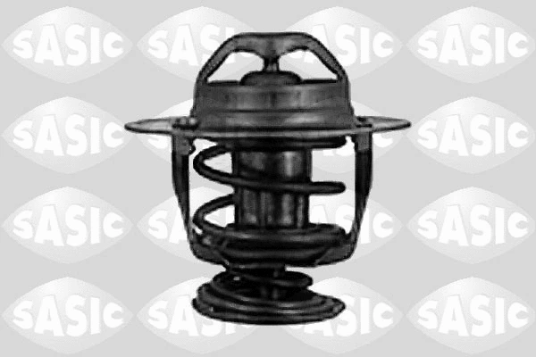 Thermostat, coolant (9000076)