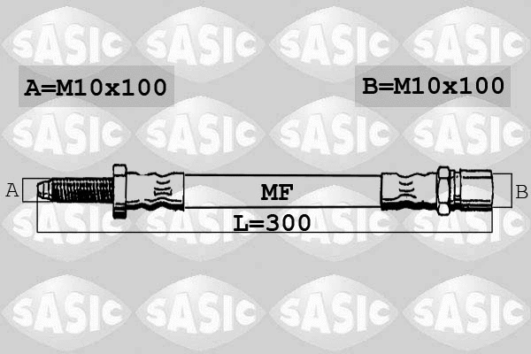 Brake Hose (SBH6319)