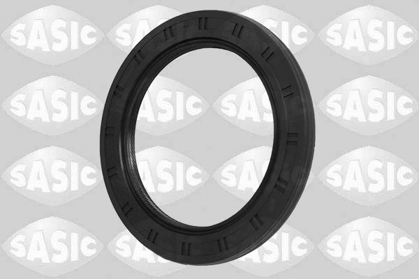 Shaft Seal, crankshaft (1954013)