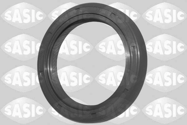 Shaft Seal, crankshaft (1954020)