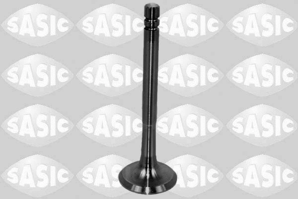 Exhaust Valve (4000954)
