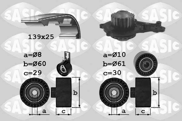 Water Pump & Timing Belt Kit (3900042)