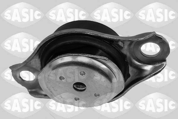 Mounting, engine (2706154)