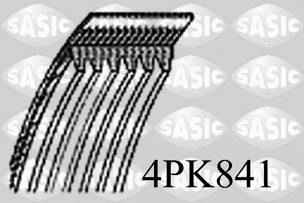 V-Ribbed Belt (4PK841)