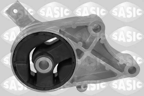 Mounting, engine (2706229)