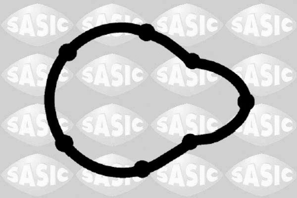 Gasket Set, intake/exhaust manifold (1954003)