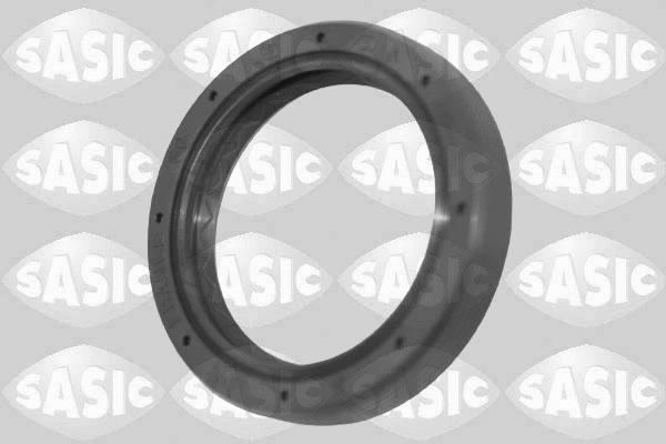 Shaft Seal, differential (1954011)