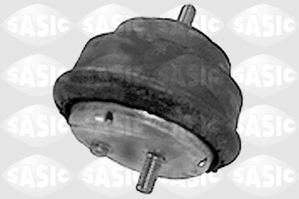 Mounting, engine (9001404)