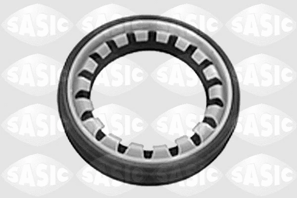 Shaft Seal, differential (1213273)