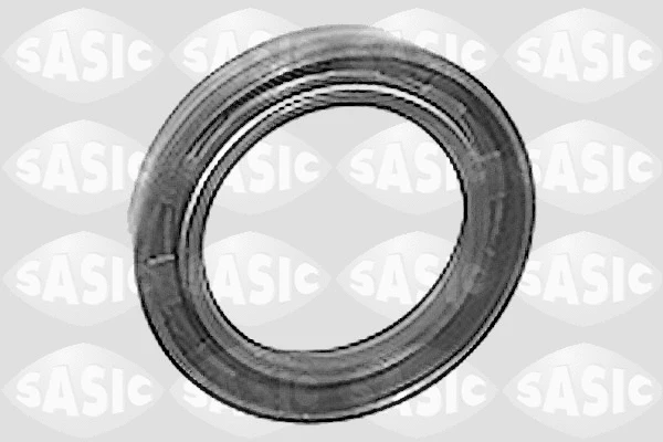 Shaft Seal, wheel hub (7243083)