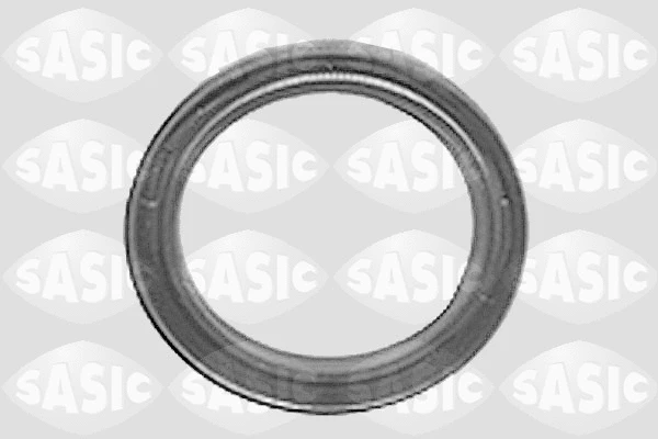 Shaft Seal, wheel hub (7243183)