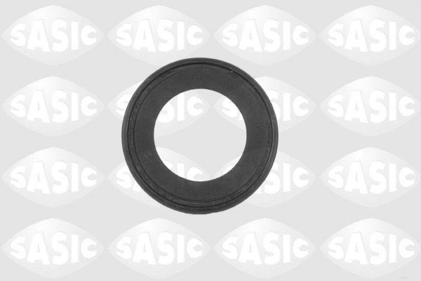 Shaft Seal, differential (1950002)