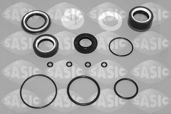 Gasket Set, steering gear (7900001)
