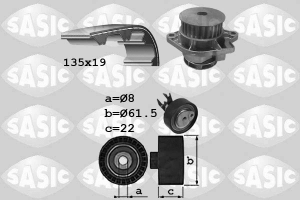 Water Pump & Timing Belt Kit (3906087)