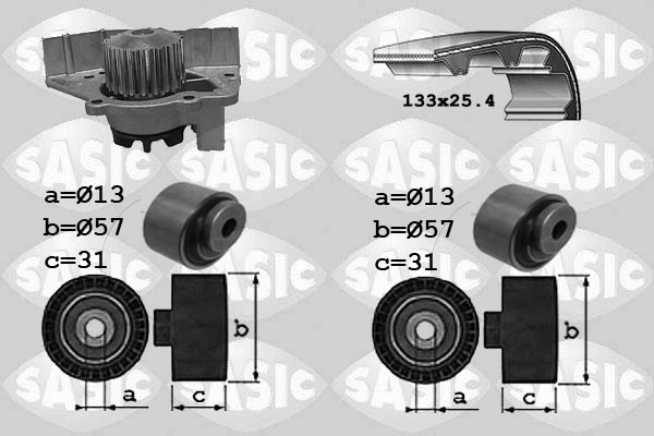 Water Pump & Timing Belt Kit (3900030)