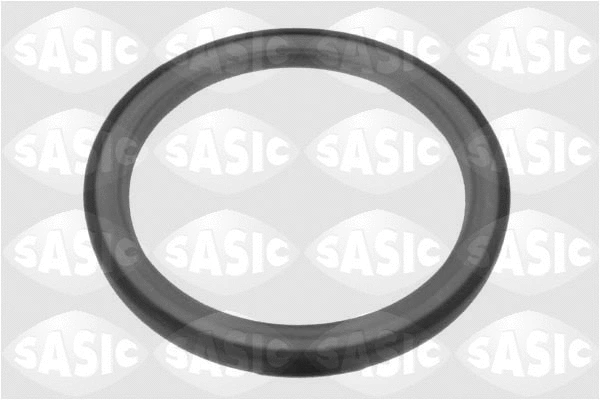 Shaft Seal, crankshaft (1954001)