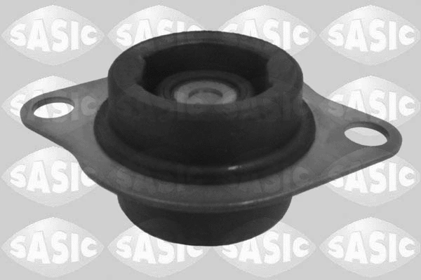 Mounting, engine (2704045)