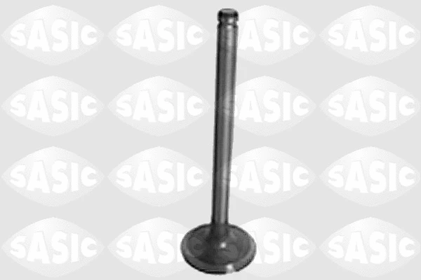 Exhaust Valve (4000953)
