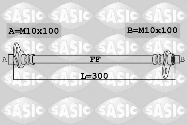 Brake Hose (6600062)