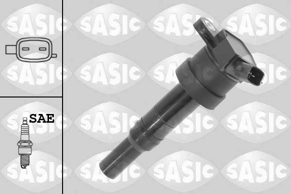 Ignition Coil (9206072)