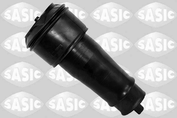 Air Spring, suspension (2650046)