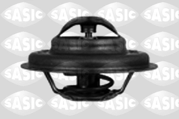 Thermostat, coolant (3381121)