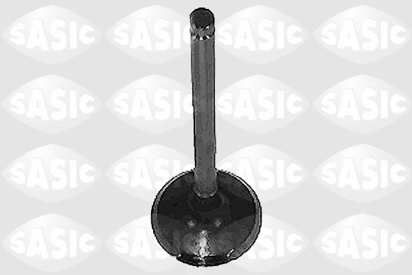 Exhaust Valve (4000961)