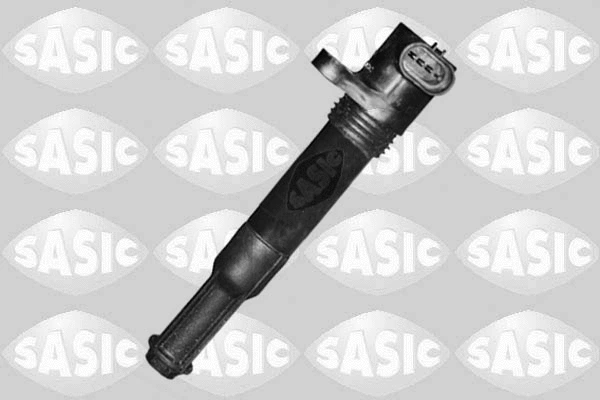 Ignition Coil (9206001)