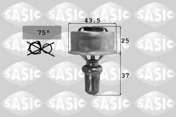 Thermostat, coolant (9000319)