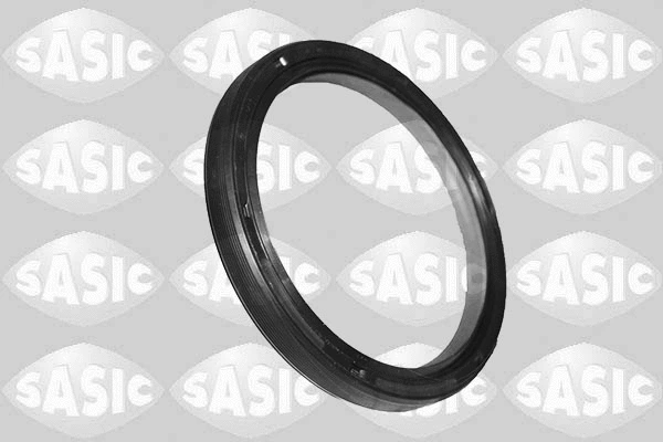 Shaft Seal, crankshaft (1956002)