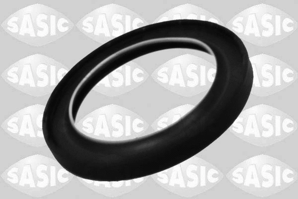 Shaft Seal, crankshaft (1950003)