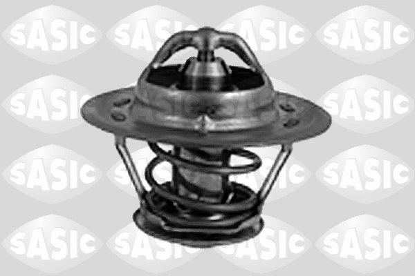 Thermostat, coolant (9000018)