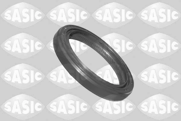 Shaft Seal, crankshaft (1956003)