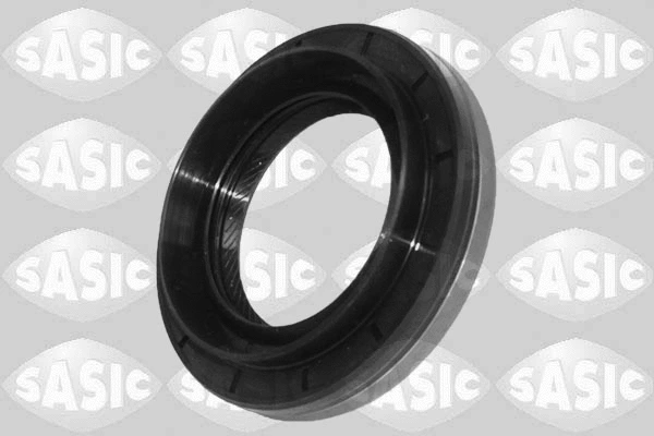 Shaft Seal, differential (1954012)