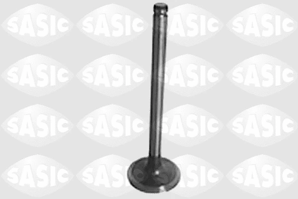 Intake Valve (4000902)