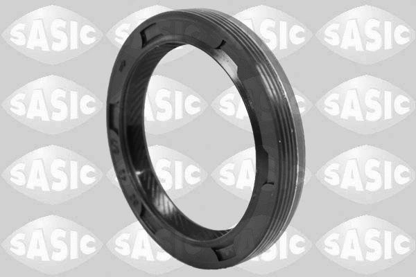 Shaft Seal, camshaft (1956009)