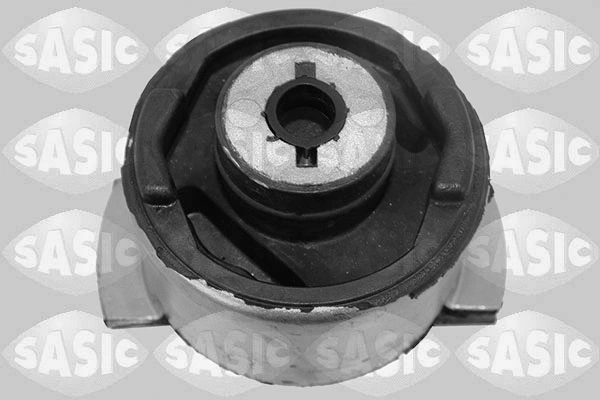 Bushing, axle beam (4005528)