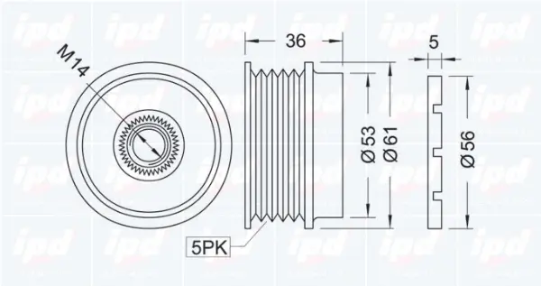 Alternator Freewheel Clutch