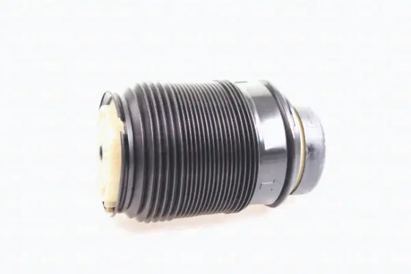 Air Spring, suspension (43-2040)