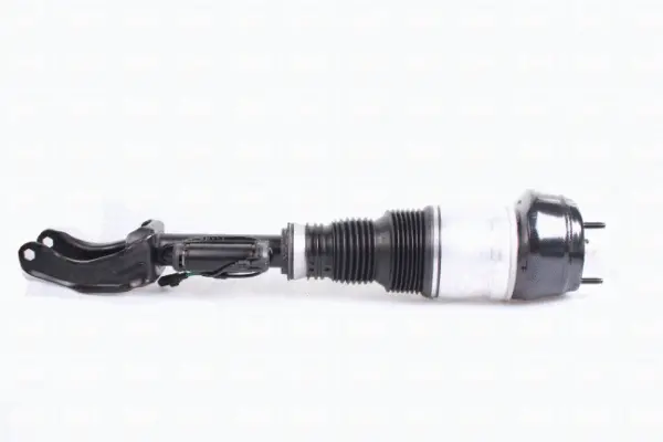 Air Spring, suspension (43-2029)