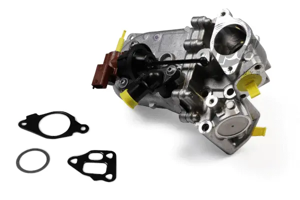 Cooler, exhaust gas recirculation (46-2002)