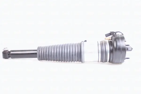Air Spring, suspension (43-2015)