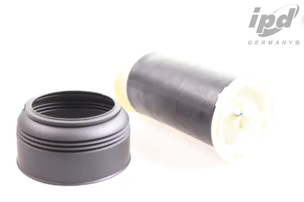 Air Spring, suspension (43-2060)